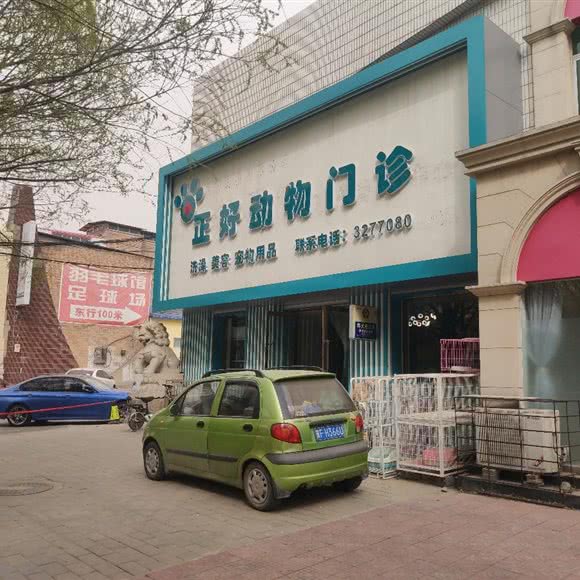 正好动物门诊:保定市竞秀区农大西校区附近