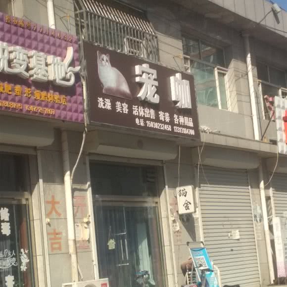 宠咖:保定市望都县