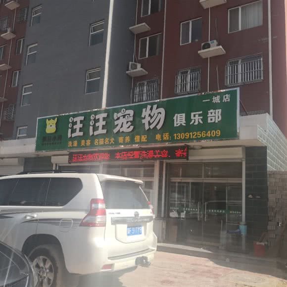 疯狂小狗汪汪宠物俱乐部(一城店):保定市望都县