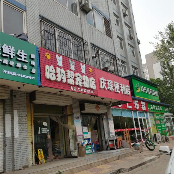 哈狗帮宠物店:保定市莲池区青年路/那约文化广场附近