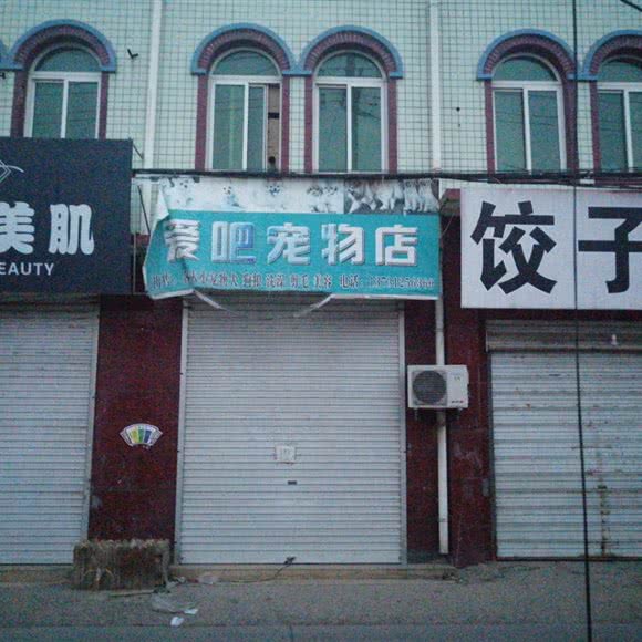 爱吧宠物店:保定市安新县