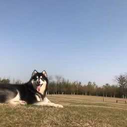 宠宅:保定市易县