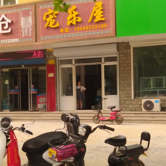 宠乐屋:保定市曲阳县