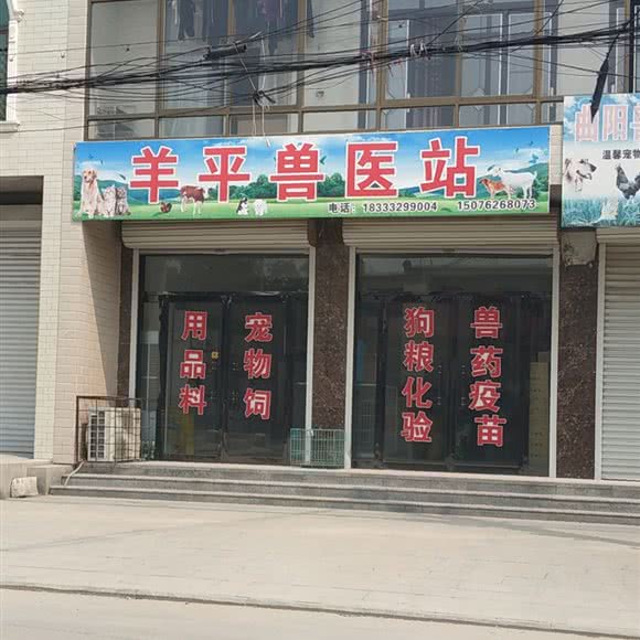 羊平兽医站:保定市曲阳县