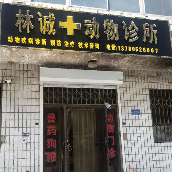 林诚动物诊所:保定市顺平县