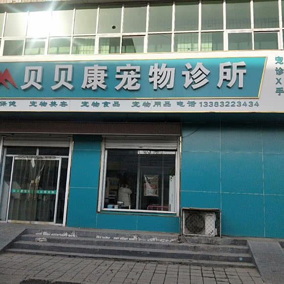 贝贝康宠物诊所:保定市顺平县