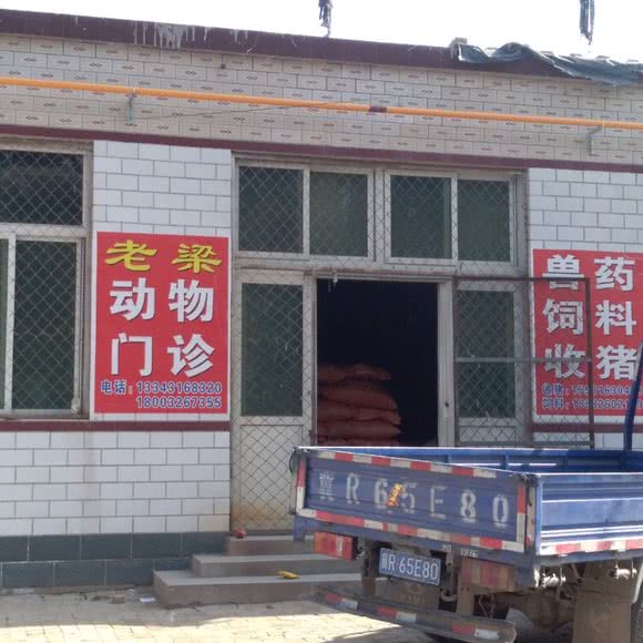 老梁动物门诊:保定市雄县
