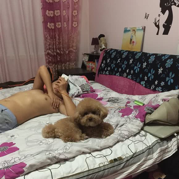 派多格宠物连锁:保定市涿州市