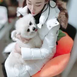 爱尚宠:保定市涿州市