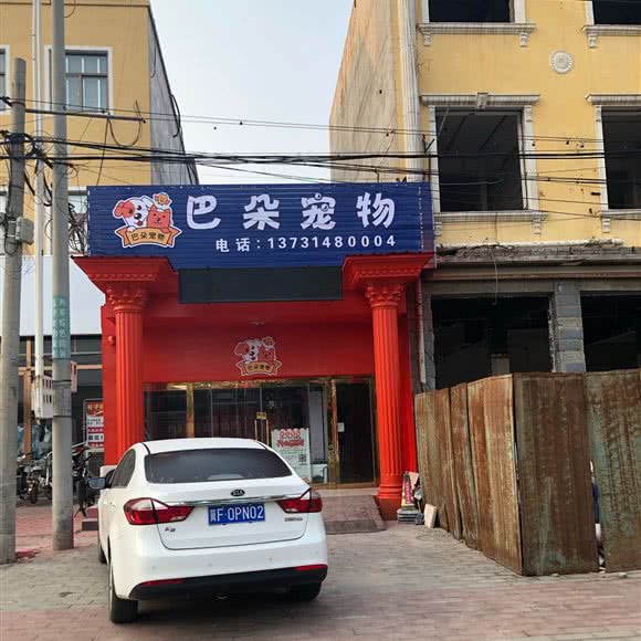 巴朵宠物:保定市涿州市
