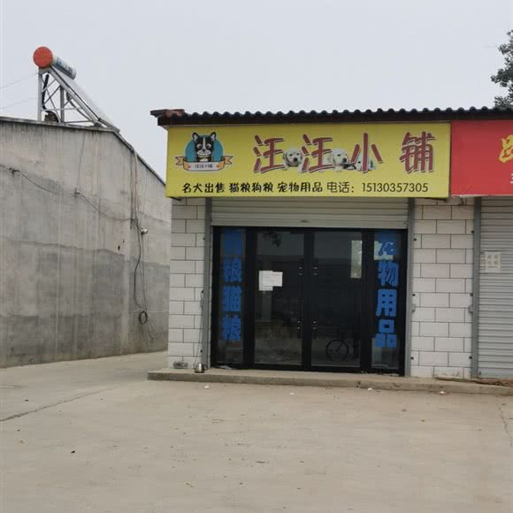 汪汪小铺:保定市涿州市