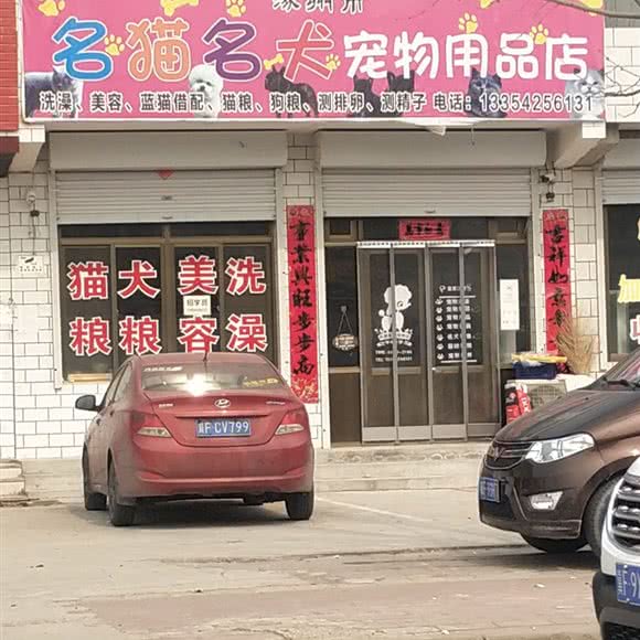名猫名犬宠物用品店:保定市涿州市