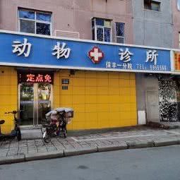 动物诊所(保丰一分院):保定市莲池区美术中学附近
