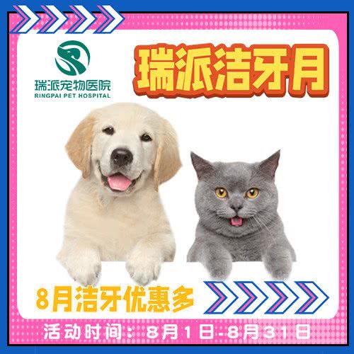 瑞派关忠动物医院:保定市涿州市