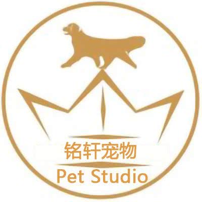 铭轩宠物·宠物猫狗活体售卖:北京城区朝阳区三元桥/霄云路附近