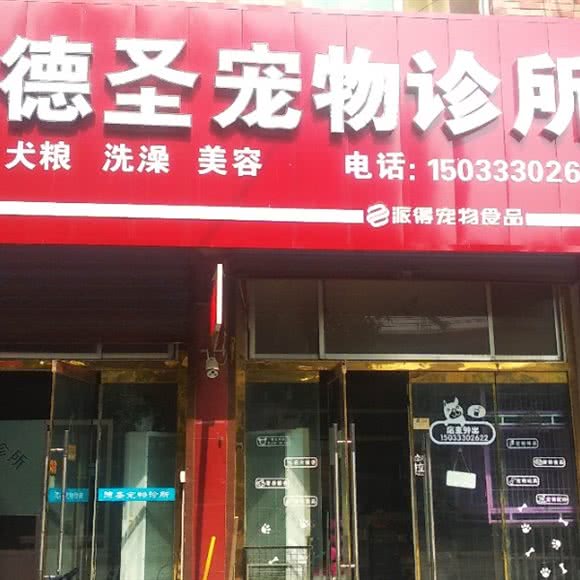 夸克纯美德圣宠物诊所:保定市涿州市