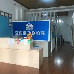 莫里斯动物诊所:保定市涿州市