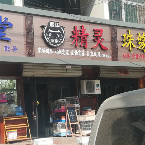 麟轩精灵:保定市莲池区西关附近