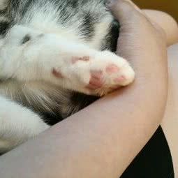 福糖喵咖:保定市莲池区西关附近