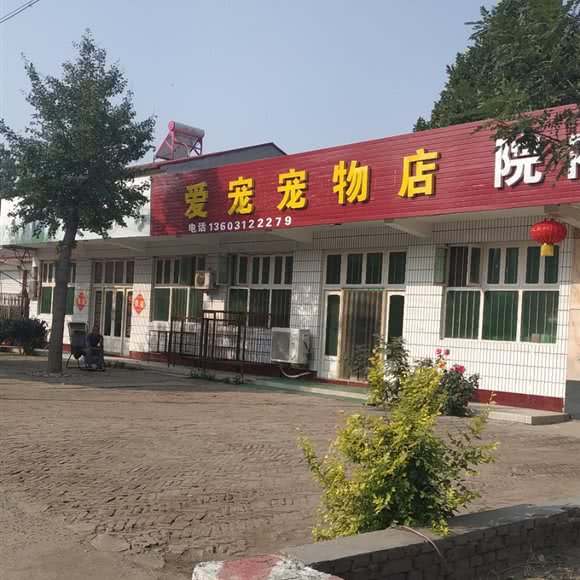 爱宠宠物店:保定市定州市