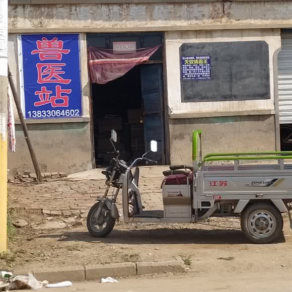 兽医站:保定市定州市