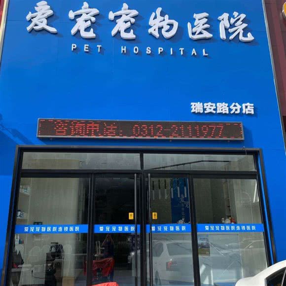 爱宠宠物医院(瑞安路分店):保定市莲池区锦观城附近