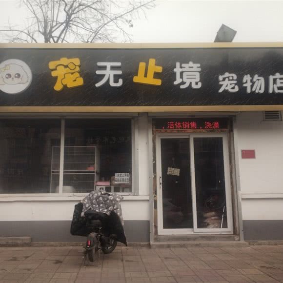 宠无止境宠物店:保定市高碑店市