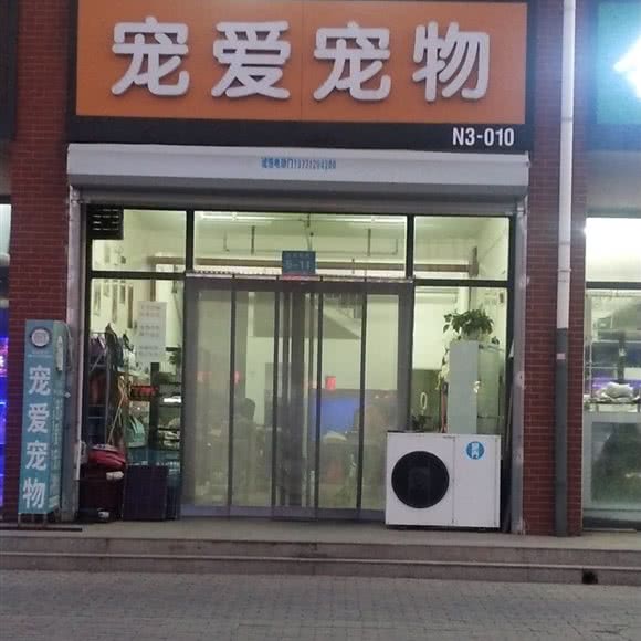 宠爱宠物:保定市高碑店市