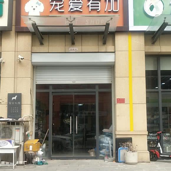 宠爱有加:保定市高碑店市