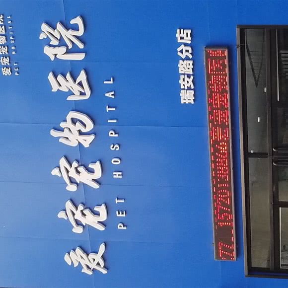 爱宠动物医院(瑞安路分店):保定市莲池区锦观城附近