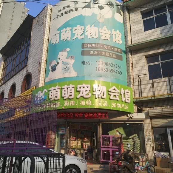 萌萌宠物会馆:保定市高碑店市