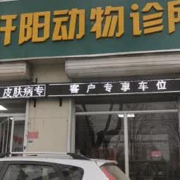 轩阳动物诊所:保定市高碑店市
