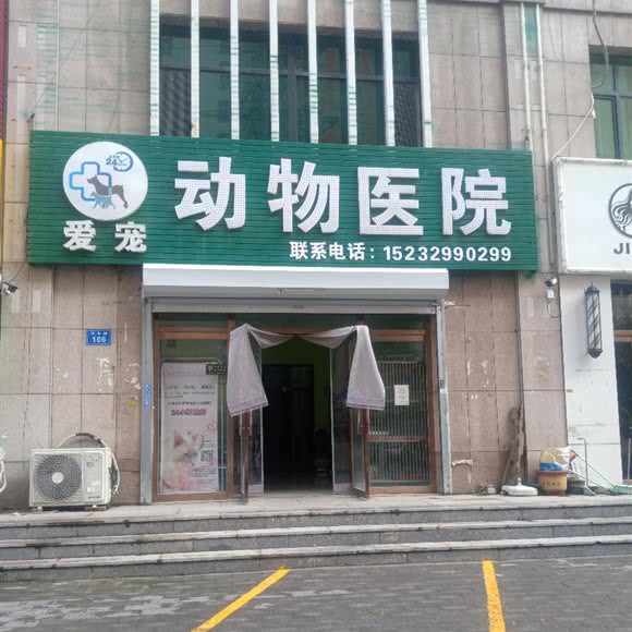 宠爱动物医院:保定市高碑店市