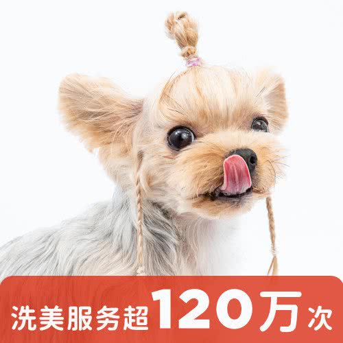 宠物家(北花园店):北京城区朝阳区传媒大学/二外附近