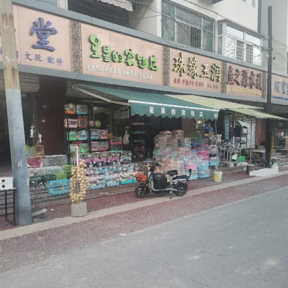星星的宠物店:保定市莲池区东风桥市场附近