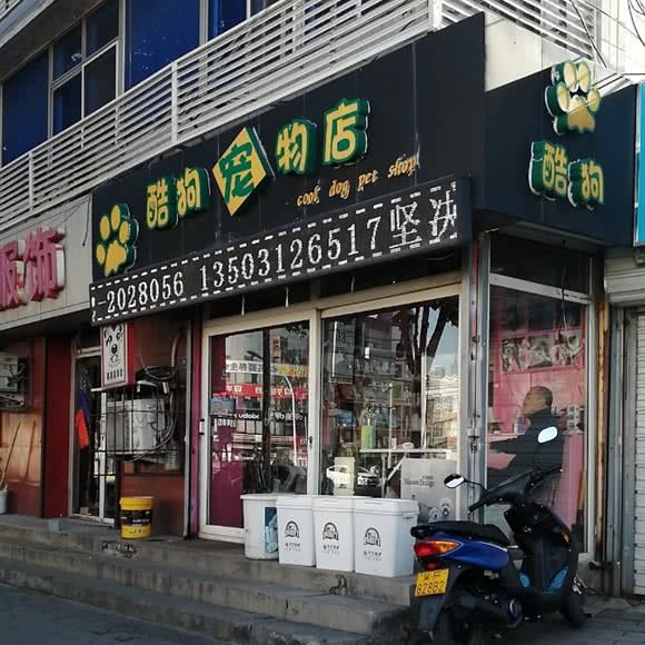 酷狗宠物店:保定市莲池区东风桥市场附近