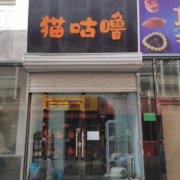 猫咕噜:张家口市桥东区