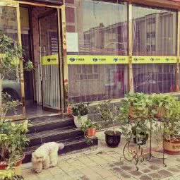 千宠百爱宠物俱乐部:张家口市桥东区