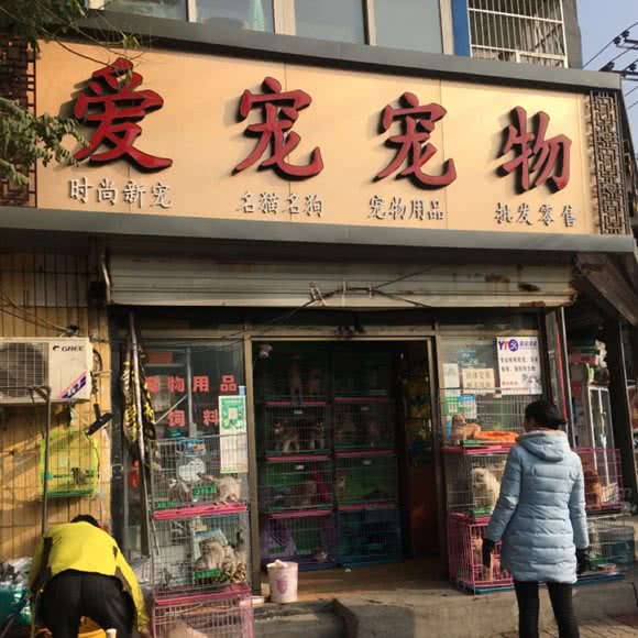 爱宠宠物:保定市莲池区东风桥市场附近