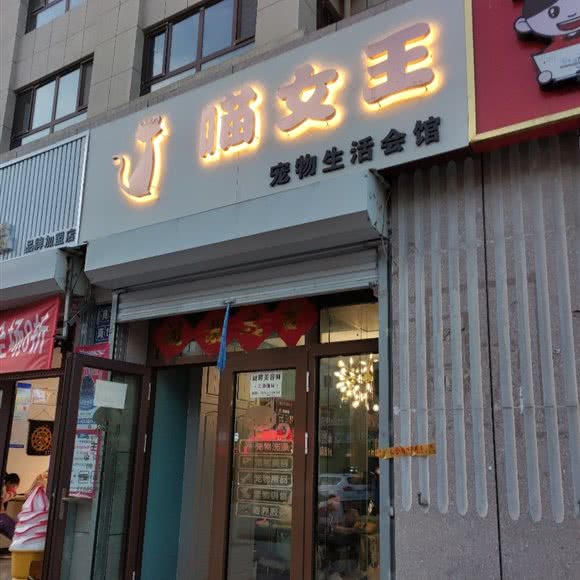 喵女王宠物生活会馆:张家口市宣化区