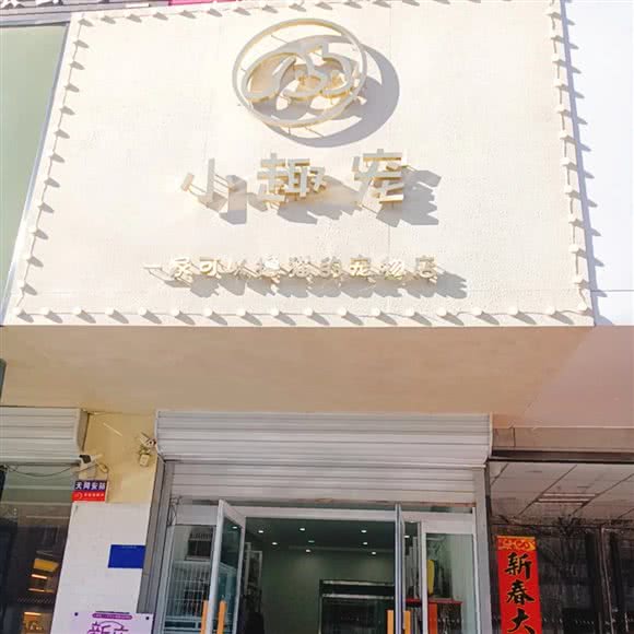 小趣宠:张家口市宣化区