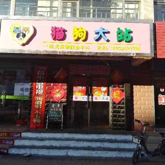 猫狗大站:张家口市宣化区