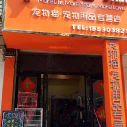 喵语琳宠物生活馆:张家口市宣化区