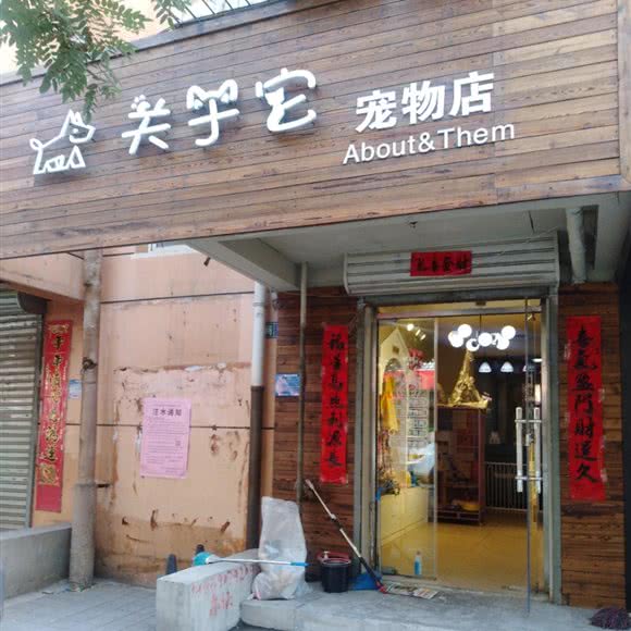 关于它宠物店:张家口市宣化区