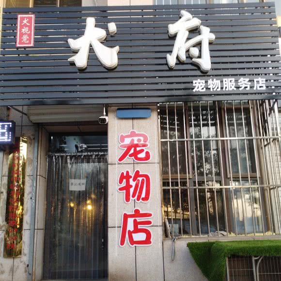 犬视觉犬府宠物服务店:张家口市宣化区