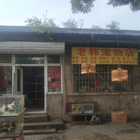 老韩宠物店:张家口市宣化区