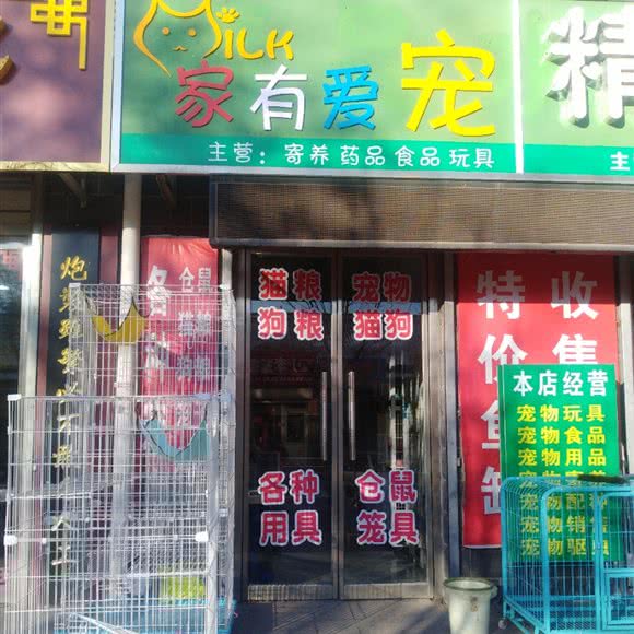 家有爱宠:张家口市宣化区
