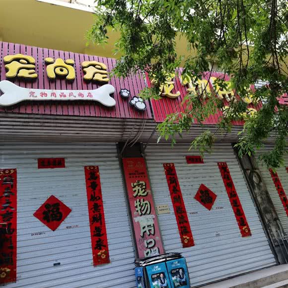 宠尚宠宠物用品(风尚店):张家口市宣化区