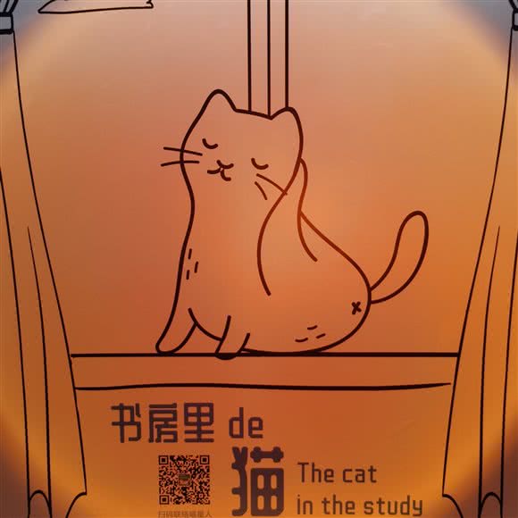 书房里的猫:北京城区东城区南锣鼓巷/鼓楼东大街附近