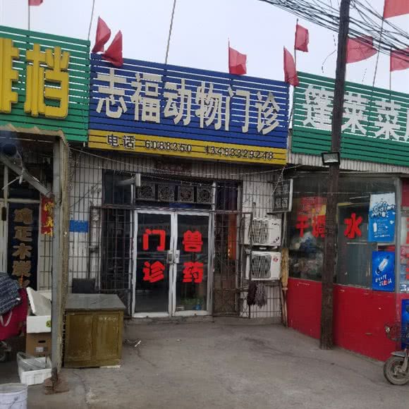 志福动物门诊:张家口市宣化区